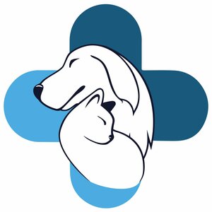 Логотип «Прованс»