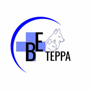 Логотип ВЕтерра