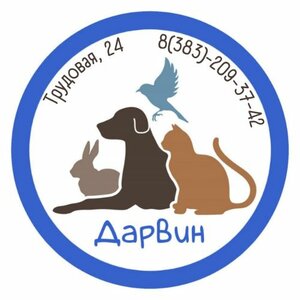 Логотип Дарвин