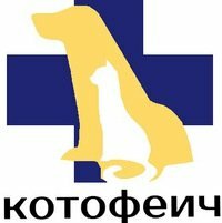 Логотип «Котофеич»
