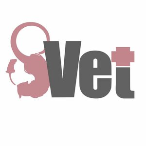 Логотип «8Vet»