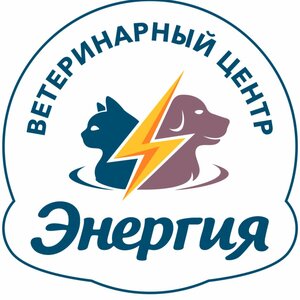 Логотип «Энергия»