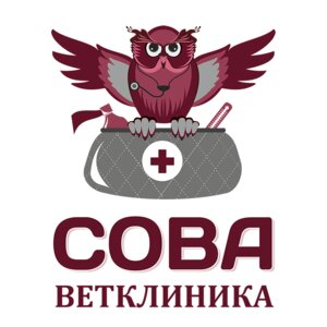 Логотип «Сова»