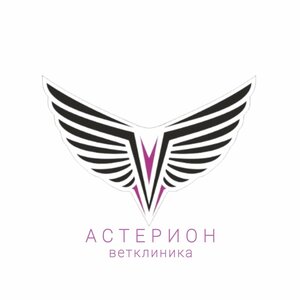 Логотип «Астерион»