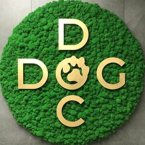 Логотип Doc&Dog