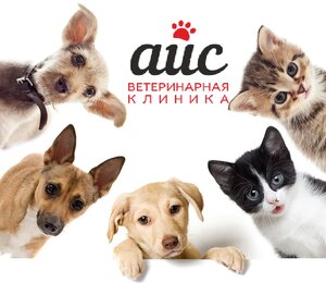 Логотип Айс