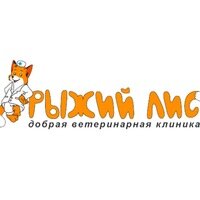 Логотип Рыжий лис