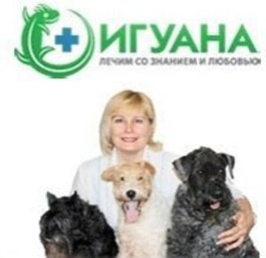 Логотип Игуана