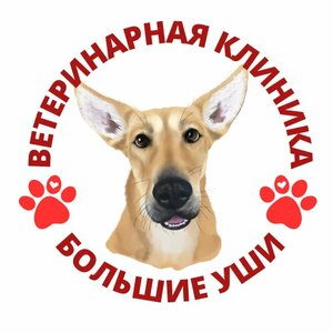 Логотип «Большие уши»