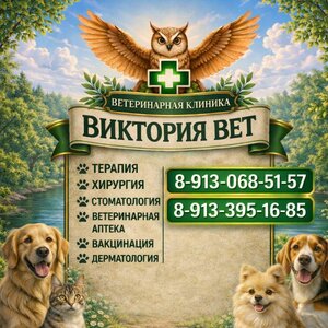 Логотип «Виктория Вет»