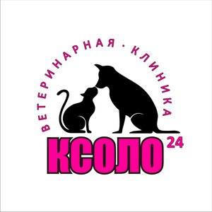 Логотип «Ксоло»