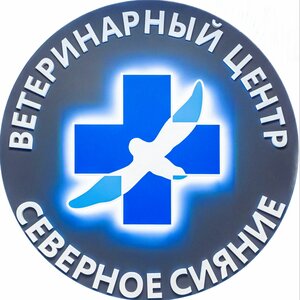 Логотип Северное Сияние