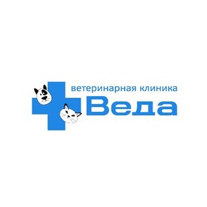 Логотип Веда