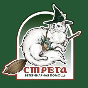Логотип «Стрега»
