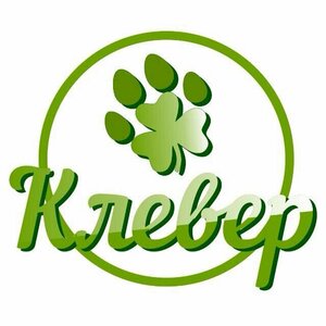 Логотип Клевер