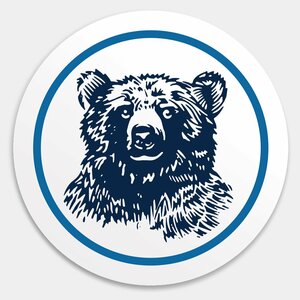 Логотип «Ветеринарная офтальмология Реком»