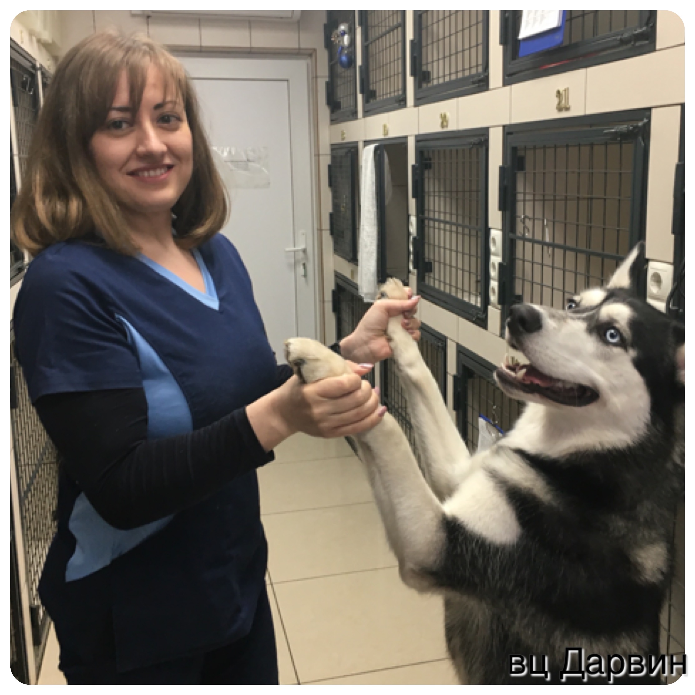 Белослудцева Надежда Семеновна