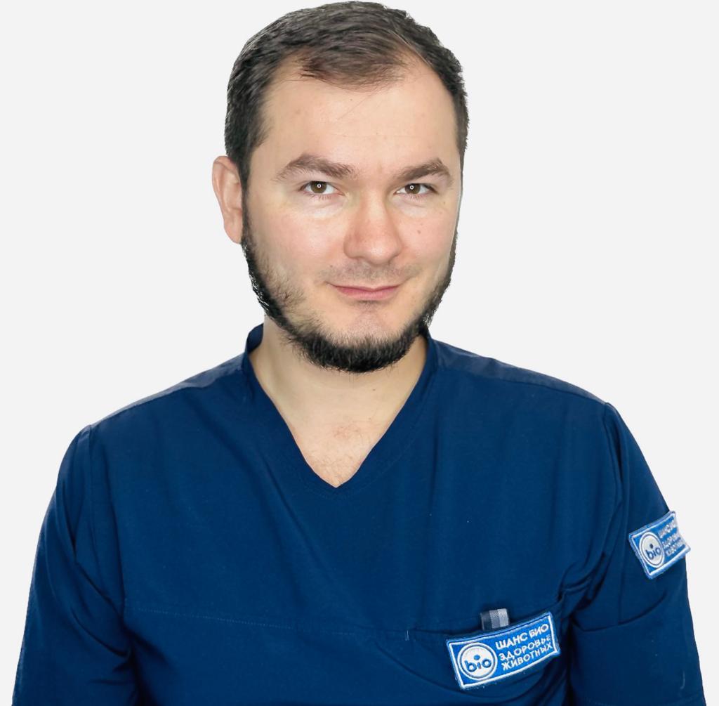 Деркачев Дмитрий Юрьевич