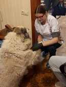 Коршунова Ольга Сергеевна
